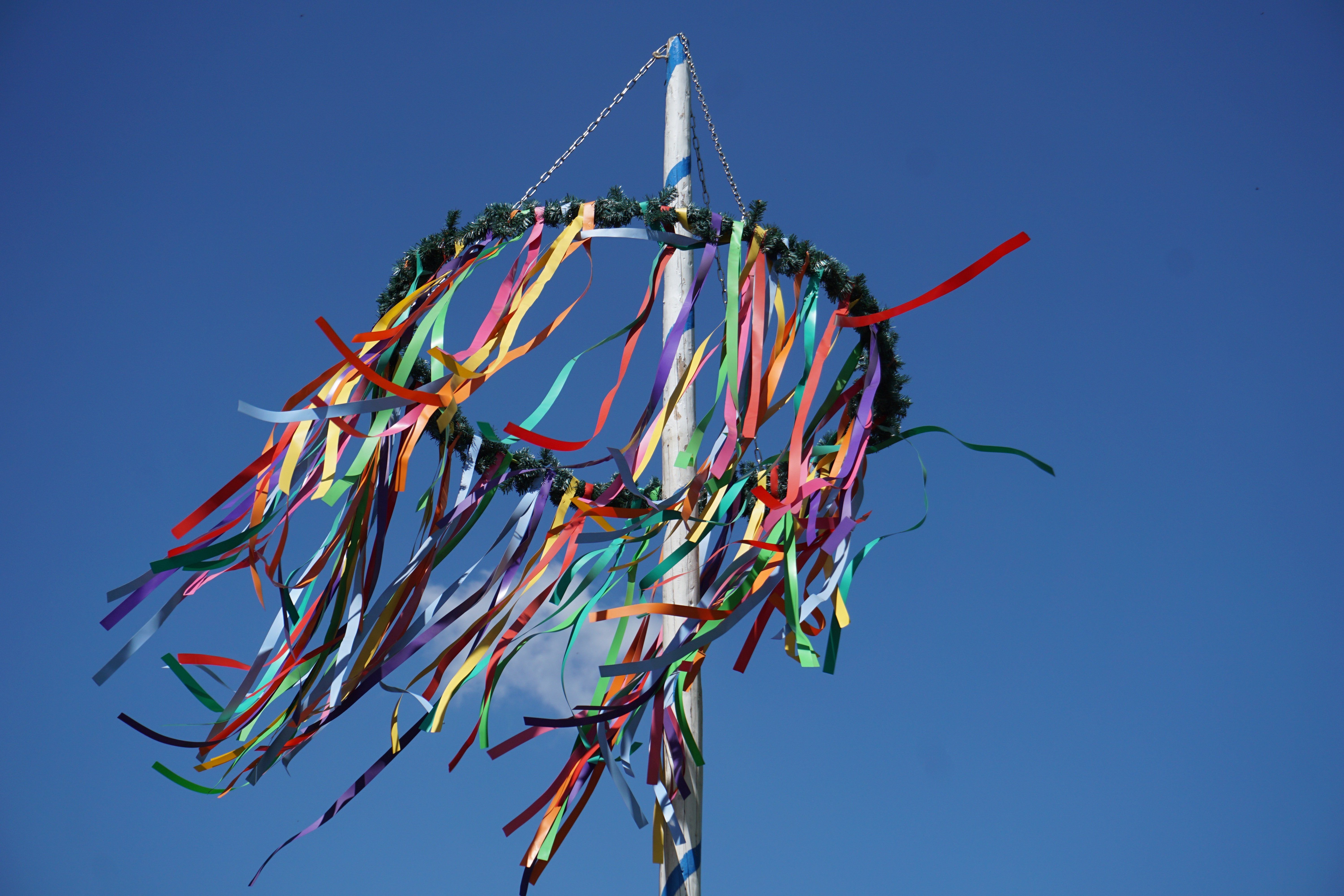 Aufstellen des Maibaumes in Fahretoft