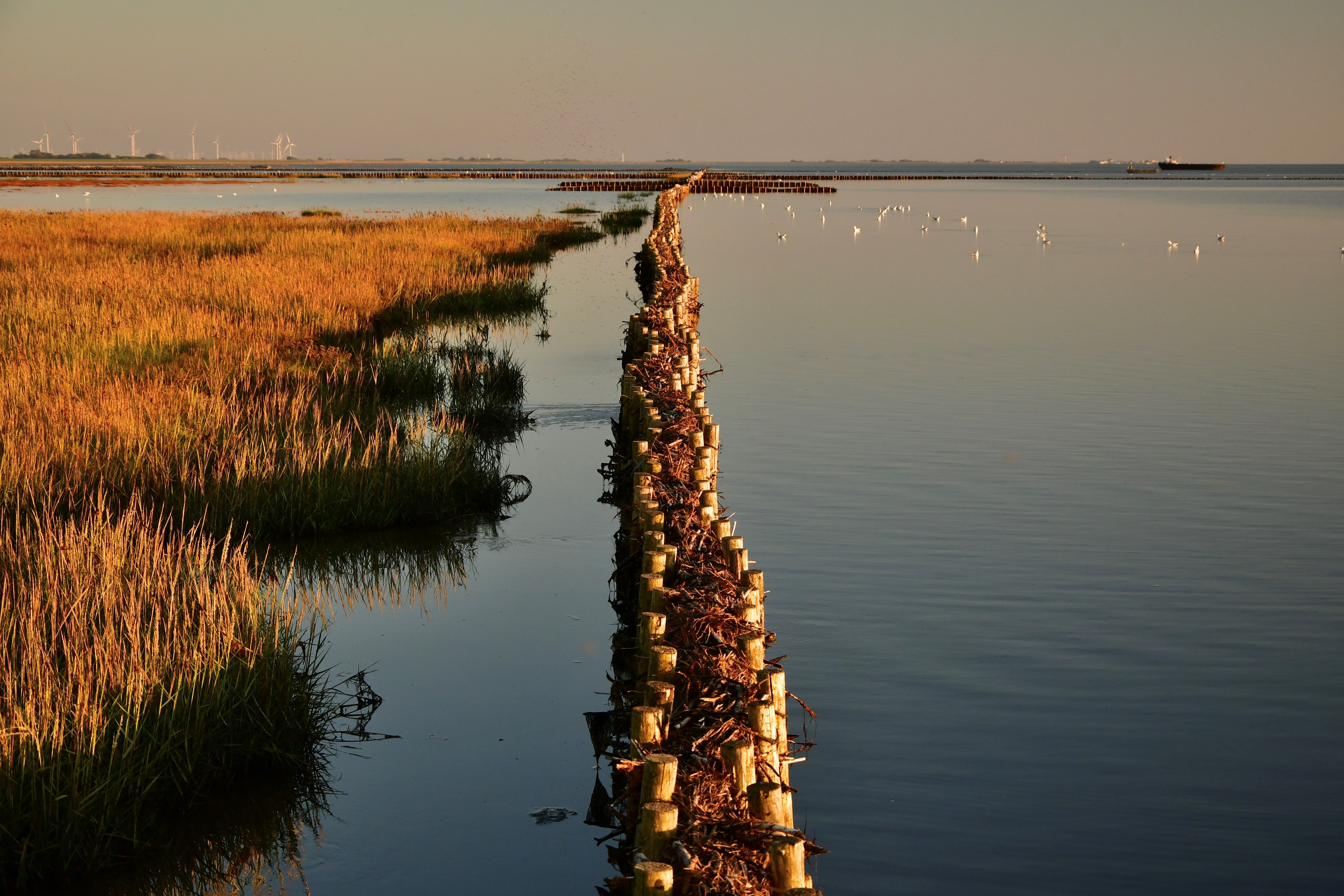 Herbst in Nordfriesland